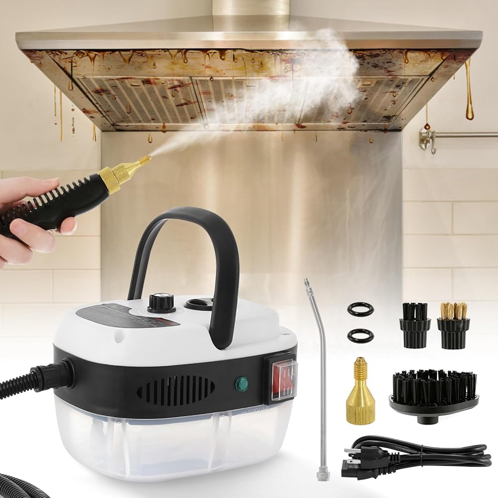 Pressurized Steam Cleaner